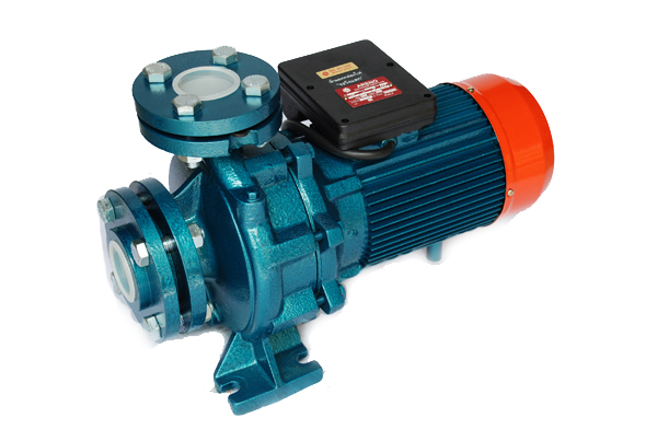 ปั๊มน้ำหอยโข่ง SINGLE PHASE ARENO ES 2 FL
