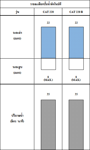 ปั๊มน้ำอัตโนมัติ รุ่นธรรมดา