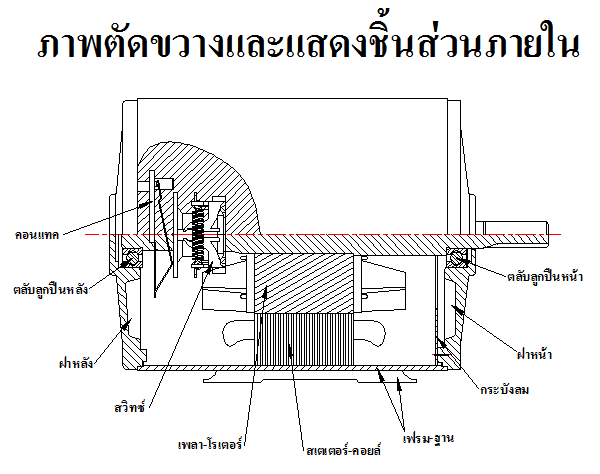 ภาพตัดขวางและแสดงชิ้นส่วนภายใน