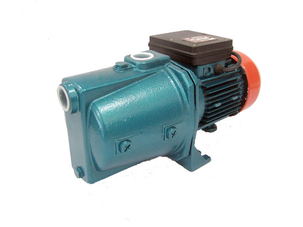 ปั๊มน้ำหอยโข่ง SINGLE PHASE ARENO BSJ 100 I
