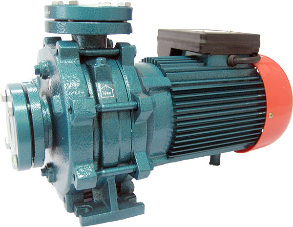 ปั๊มน้ำหอยโข่ง SINGLE PHASE ARENO ED 2 FL